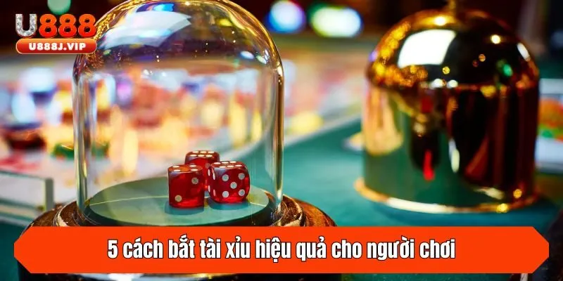 5 cách bắt tài xỉu hiệu quả cho người chơi