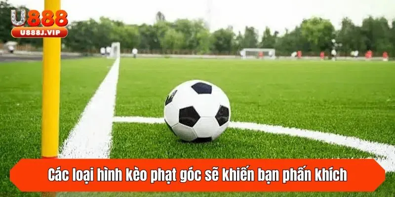 Các loại hình kèo phạt góc sẽ khiến bạn phấn khích