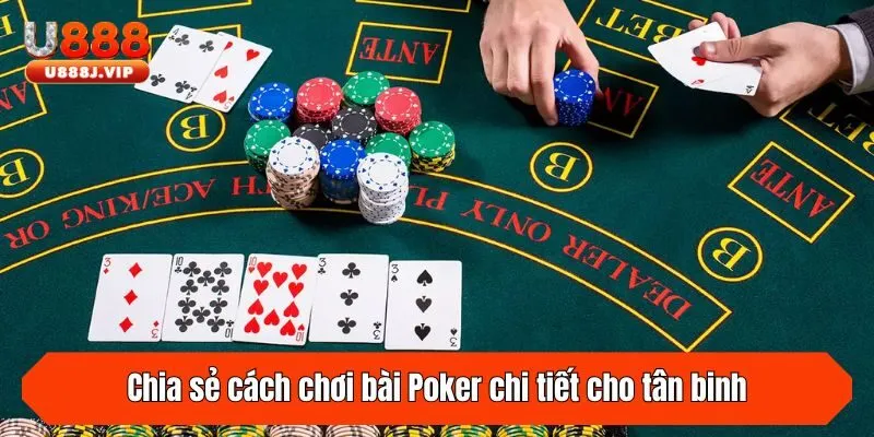 Chia sẻ cách chơi bài Poker chi tiết cho tân binh