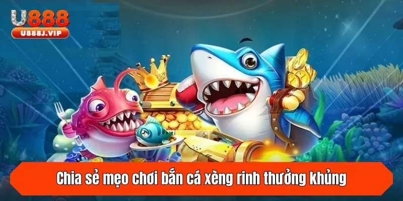 Chia sẻ mẹo chơi bắn cá xèng rinh thưởng khủng