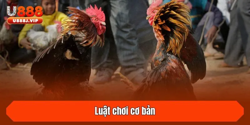 Luật chơi cơ bản