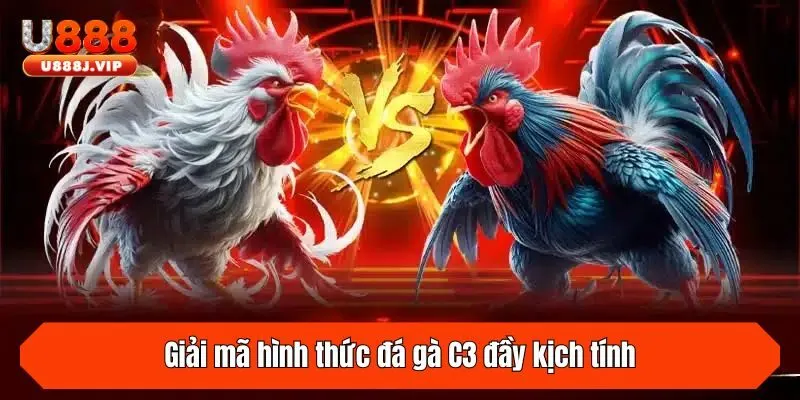 Giải mã hình thức đá gà C3 đầy kịch tính