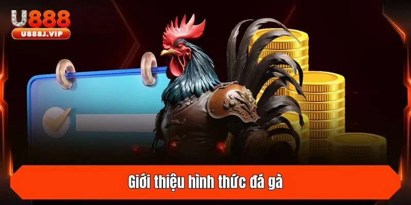 Giới thiệu hình thức đá gà