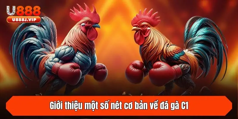Giới thiệu một số nét cơ bản về đá gà C1