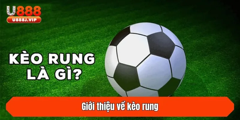 Giới thiệu về kèo rung