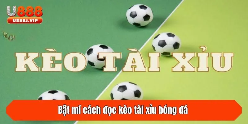 Bật mí cách đọc kèo tài xỉu bóng đá (Over/Under)