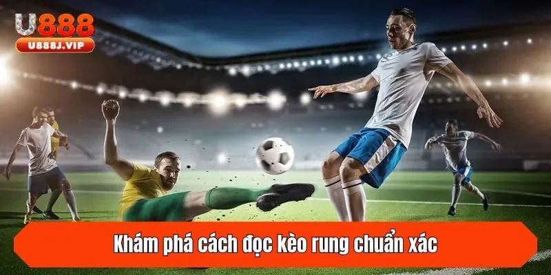 Khám phá cách đọc kèo rung chuẩn xác