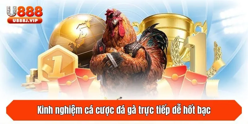 Kinh nghiệm cá cược đá gà trực tiếp dễ hốt bạc