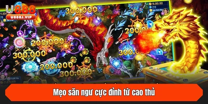 Mẹo săn ngư cực đỉnh từ cao thủ