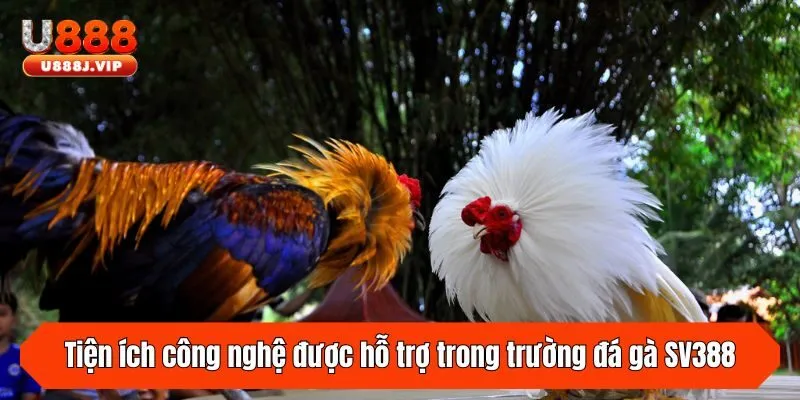 Tiện ích công nghệ được hỗ trợ trong trường đá gà SV388