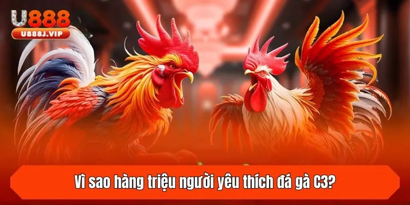 Vì sao hàng triệu người yêu thích đá gà C3?