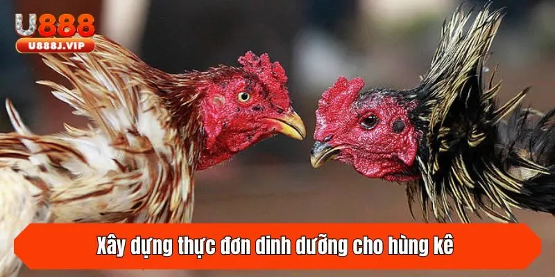 Xây dựng thực đơn dinh dưỡng cho hùng kê